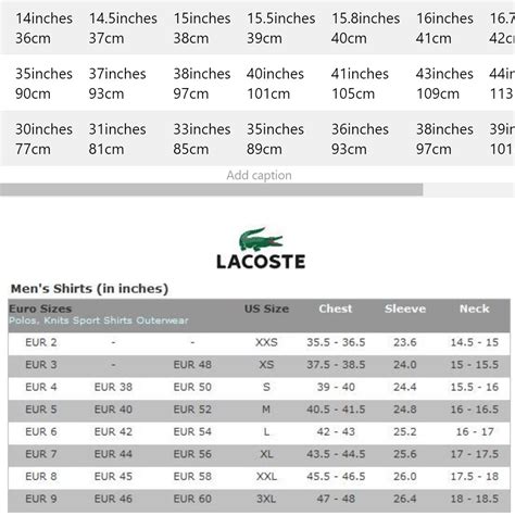 lacoste men size chart